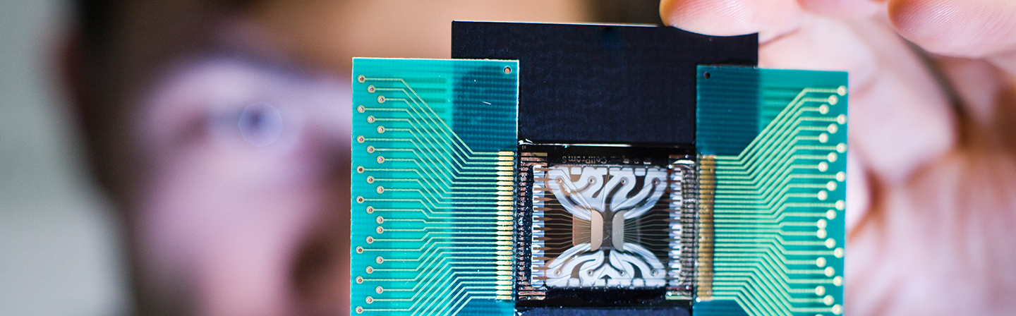 Biochip
