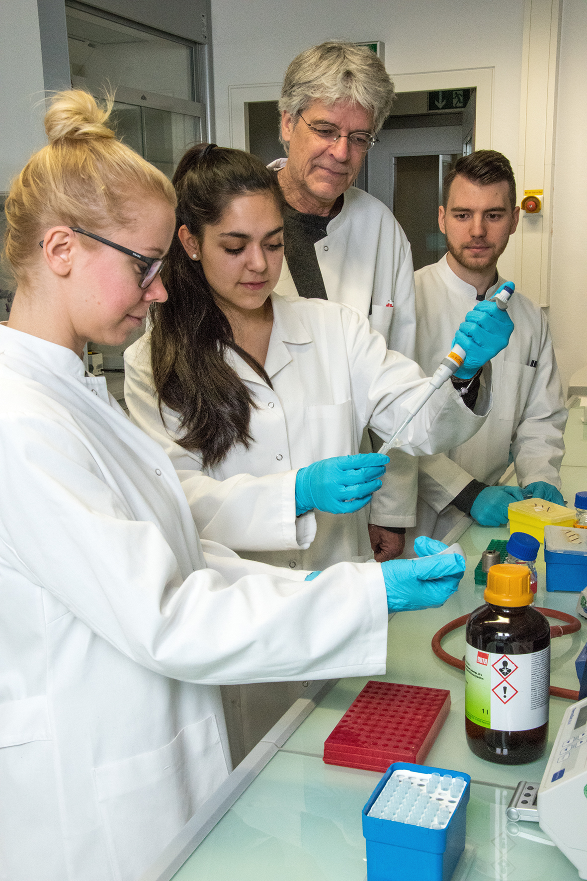 Students carry out experiments in the laboratory under supervision